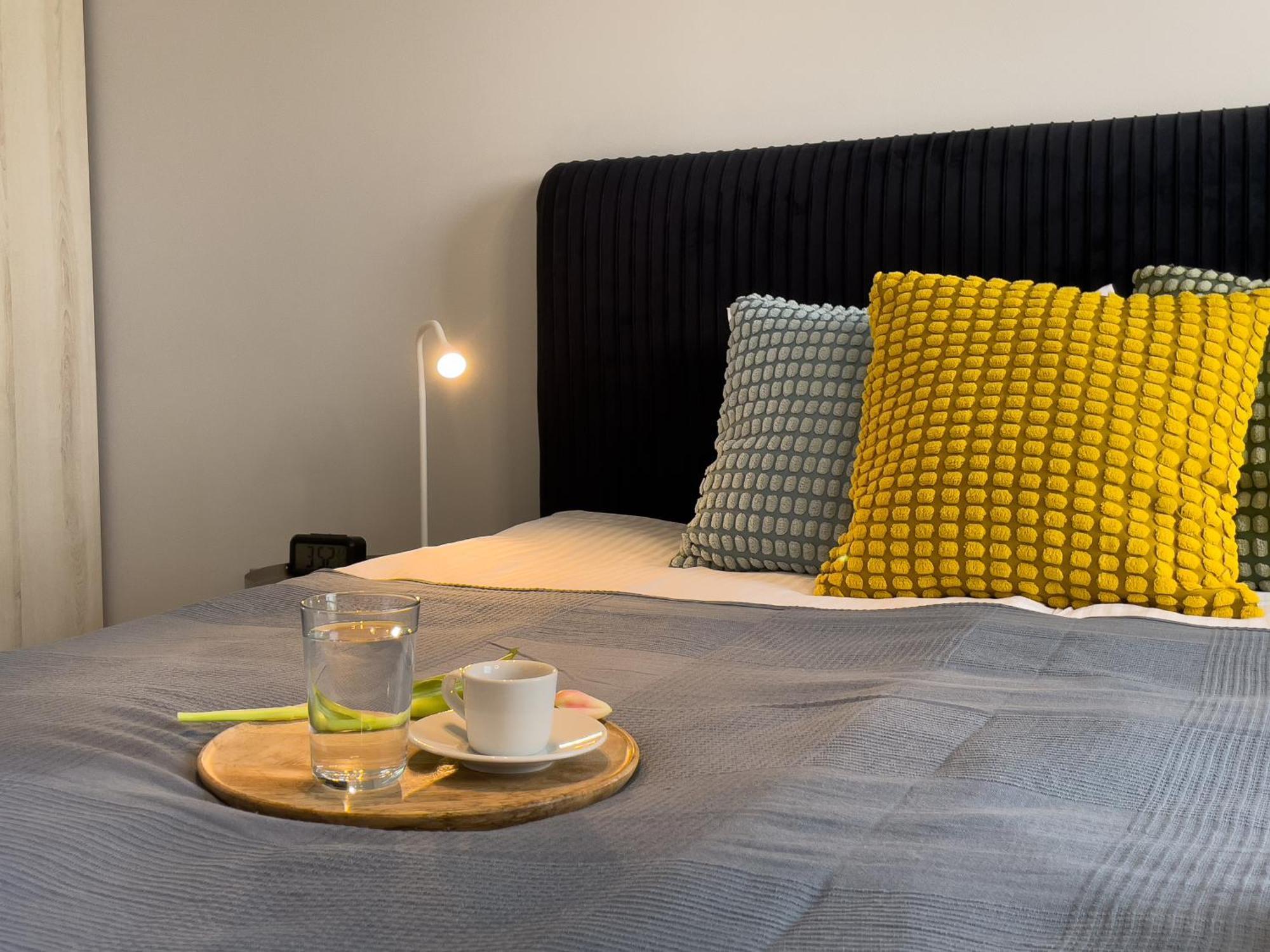 Urban Apartments Premium Baildona No 11 Free Garage, Self Check-In Katowice Buitenkant foto